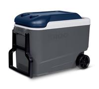 IGLOO Maxcold 40 Glacière sur roues, 38 Litre, Bleu