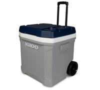 IGLOO - Maxcold Latitude 62 Roller - Glacière - 56 l - carbonite