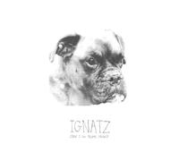 Ignatz - Can I Go Home Now