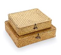 IGNPION Lot de 2 paniers de rangement plats en jonc de mer avec couvercle pour étagère, placard, coffre de rangement tissé à la main, buanderie, meuble TV (caramels)