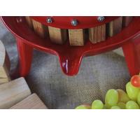 IGOTREND Presse-fruits en bois - hêtre 18 l, cadre