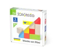 Igroteco® Mini Bloc en Bois pour Enfants dès 3 Ans - Jeu Éducatif 9 Pièces Multicolores - Coordination, Logique, Couleurs et Formes