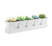 IGTOPS Lot de 5 pots d'herbes pour plantes d'intérieur avec plateau - Pour votre jardin d'herbes aromatiques et rebord de fenêtre - Décoration intérieure - Basilic, menthe, persil (blanc)