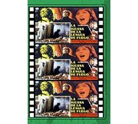 Iguana With The Tongue Of Fire