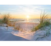 igyhuij Papier Peint Panoramique Plage au Coucher du Soleil Murales Intissé 100x70 cm Décoration Murale Moderne 3D Effet Papier Peint Paysage Tropical Salon Chambre Mural Photo Poster m32