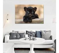 IHHGNB Affiche de bébé panthère, peinture sur toile, art mural, esthétique, chambre à coucher, cuisine, galerie, décoration d'intérieur, 40 x 50 cm (16 x 20 pouces), sans cadre