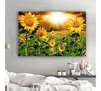 IHHGNB Tableau sur toile représentant un paysage de tournesols au lever du soleil, décor de salon, sans cadre (80 x 120 cm / 31 x 47 pouces)