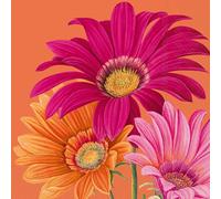 IHR Ideal Home Range Lot de 20 serviettes de fête jetables en papier 3 plis, 12,7 x 12,7 cm, gerbera joyeux (orange)