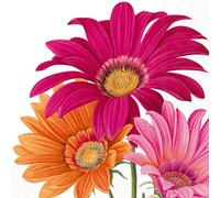 IHR Ideal Home Range Lot de 20 serviettes de fête jetables en papier 3 plis, 12,7 x 12,7 cm, gerbera joyeux (blanc)
