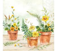 IHR Ideal Home Range Lot de 20 serviettes de fête jetables en papier triple épaisseur, 16,5 x 16,5 cm, motif plante dans des pots (vert clair)