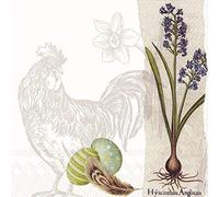 IHR - Lot de 20 serviettes de table en papier 3 plis pour Pâques - L732200