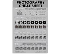 IINKUEYK Photography Quick Reference Guide Poster Canvas Wall-Art for Beginners Bedroom Living Room Decor Camera Basics Learning Framed,08x12inch(20x30cm)