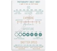 IINKUEYK Photography Quick Reference Guide Poster Canvas Wall-Art for Beginners Bedroom Living Room Decor Camera Basics Learning Framed,08x12inch(20x30cm)
