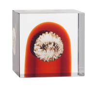 Iittala Cube annual Iittala 2026