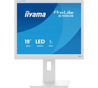 iiyama Moniteur de Bureau B1980S-W1 19" TN 1280 x 1024 75 Hz 1H1DP Has