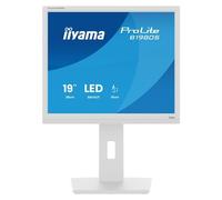 iiyama Moniteur de Bureau, B1980S-W1-19, TN, 1280 x 1024/75 Hz, 1H1DP, Has