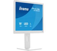 iiyama Moniteur de Bureau, B1980S-W1-19, TN, 1280 x 1024/75 Hz, 1H1DP, Has