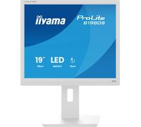 iiyama Moniteur de Bureau, B1980S-W1-19, TN, 1280 x 1024/75 Hz, 1H1DP, Has