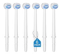 IIYL Lot de 6 embouts de rechange pour brosse à dents Waterpik Aquarius Waterpik
