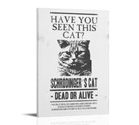 ijshndgn Schrodinger Poster décoratif vintage avec motif chat - Décoration murale pour chambre à coucher, salon - 20 x 30 cm - Style cadre