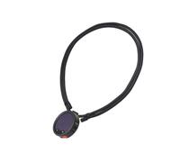 IJYHZKE Lanière magnétique de montage invisible pour Insta360 Mic Pro, tour de cou avec sangle réglable, invisible sous les vêtements pour un tir d'action stable