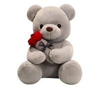 ikasus Peluche Douce Nounours - 23 Cm Ours avec Rose - Ourson Doudou de Companie Decoratif pour Cadeau Noël Danniversaire La Saint Valentin - Blanche