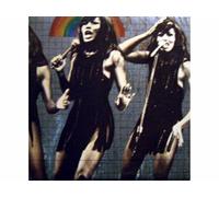 Ike & Tina Turner - "What You Hear Is What You Get" - Live At Carnegie Hall (Rollfold Cover) [Vinyl LP record] [Schallplatte]