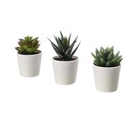 IKEA Fejka 203.953.31 Lot de 3 Plantes succulentes artificielles en Pot avec Pot pour intérieur et extérieur Taille 5,4 cm