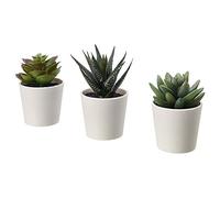 Ikea FEJKA 203.953.31 Lot de 6 Mini Plantes succulentes artificielles en Pot 6 cm