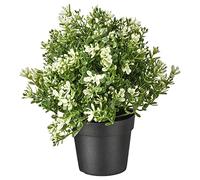 IKEA Fejka Plante artificielle en pot Thym 9 cm
