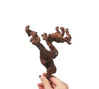 IKFGTJRE Bois Flotté pour Aquarium Grands Ornements d'aquarium en Bois flotté, Corail, Bois flotté, Grand Aquarium en Bois(10-15cm-2pcs)