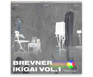 Ikigai Vol. 1 [Import]