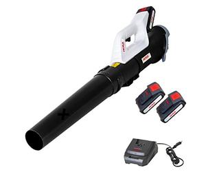 IKRA souffleur de Feuilles ICB 20, avec 2 Batteries 20V et Chargeur Rapide