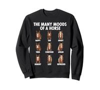 Il Beaucoup d'humeurs d'un Cheval Meme équestre drôle Sweatshirt