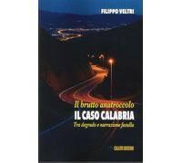 Il brutto anatroccolo. Il caso Calabria tra degrado e narrazione fasulla