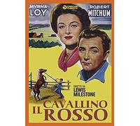 Il Cavallino Rosso Dvd Italian Import