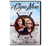 Il cigno nero