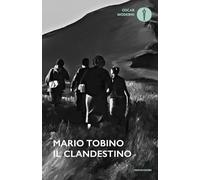 Il clandestino