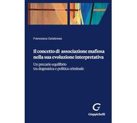 Il concetto di associazione mafiosa nella sua evoluzione interpretativa. Un precario equilibrio tra dogmatica e politica criminale