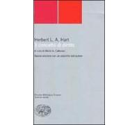 Il Concetto Di Diritto