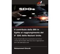 Il Contributo Della Bri In Egitto Al Raggiungimento Del 9° Sdg Delle Nazioni Unite