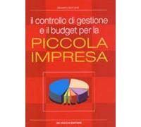 Il controllo di gestione e il budget per la piccola impresa