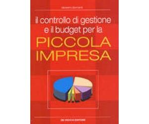 Il controllo di gestione e il budget per la piccola impresa