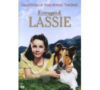 Il coraggio di Lassie – DVD – Import italien – Warner Bros.