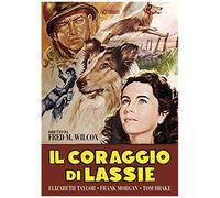 Il Coraggio Di Lassie Dvd Italian Import