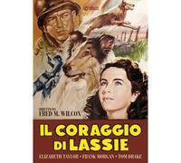 Il Coraggio Di Lassie - Elizabeth Taylor - Dvd