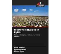Il cotone selvatico in Egitto