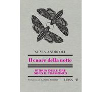 Il cuore della notte. Storia delle ore dopo il tramonto