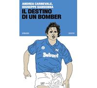 Il destino di un bomber