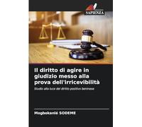 Il diritto di agire in giudizio messo alla prova dell'irricevibilità